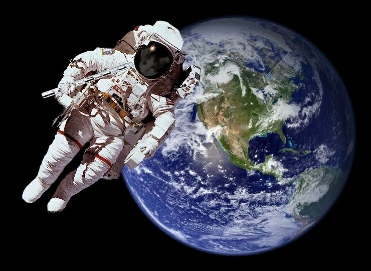 If Cats Ruled The Earth
